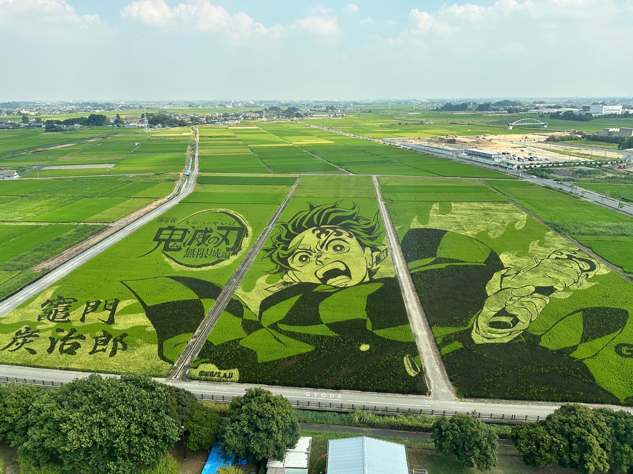 An elevated view of green fields planted in large figure and lettering patterns