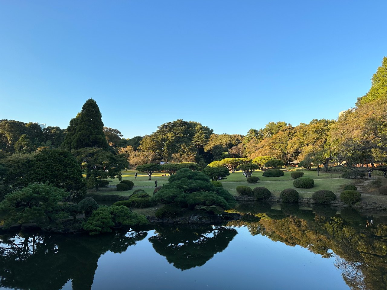Carefully shaped trees and blue sky reflected in a still garden pond