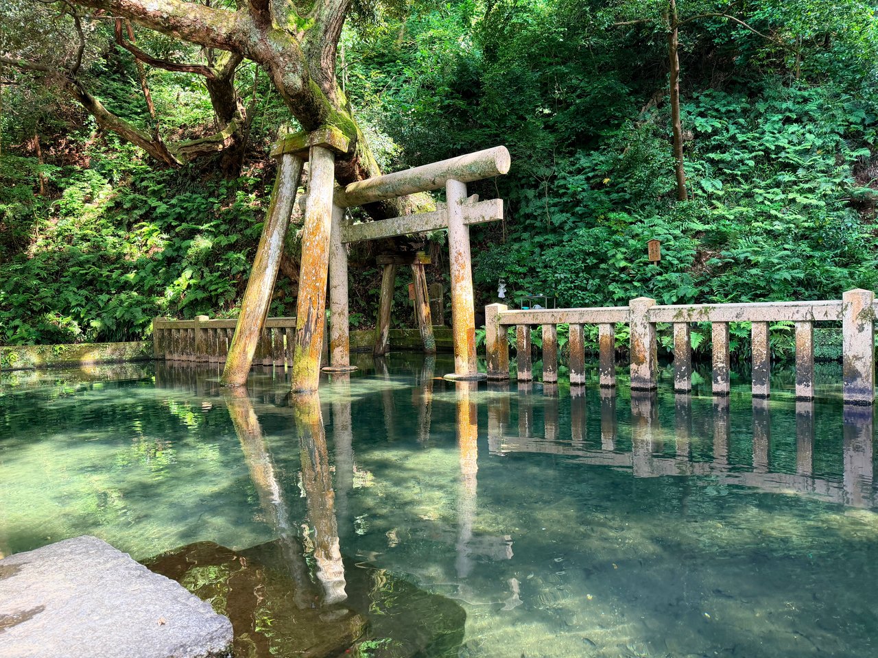 A wooden torii stands beside clear shaded water and reflects on the surface