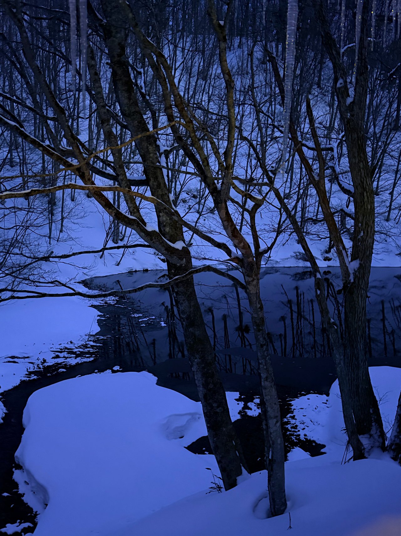 Snow-covered banks and bare trees reflected in water at dusk